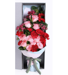温馨的心--戴安娜粉玫瑰11枝，红色康乃馨11支