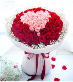 唯一的爱-- 33枝戴安娜粉玫瑰、66枝卡罗拉红玫瑰、10枝满天星