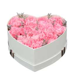 妈妈的爱--13枝粉色康乃馨，情人草搭配 