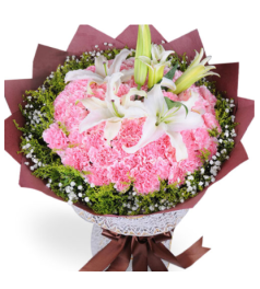  沐浴母爱--33枝粉色康乃馨，2枝香水百合，黄莺和满天星外围 
