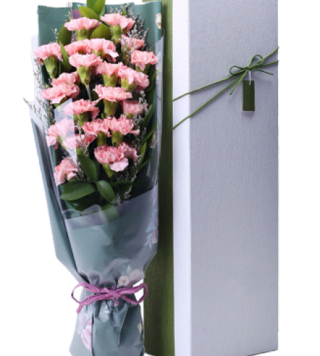 暖心-- 19枝粉色康乃馨，搭配适量绿叶、情人草 