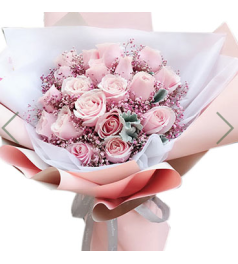 粉佳人--19枝粉佳人玫瑰，搭配银叶菊,粉色满天星，