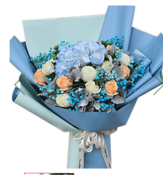 望春--1个蓝色绣球，6枝香槟玫瑰，5枝白玫瑰