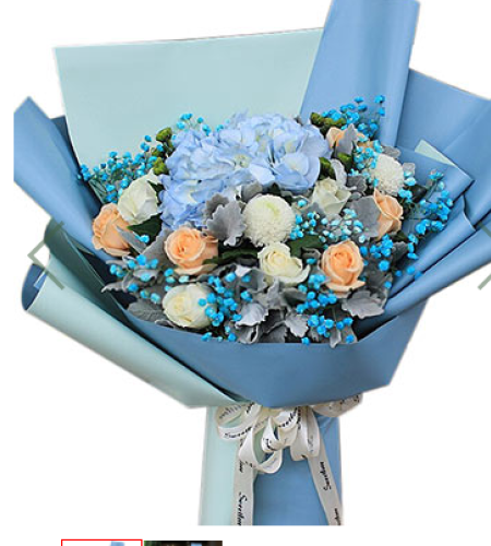 望春--1个蓝色绣球，6枝香槟玫瑰，5枝白玫瑰