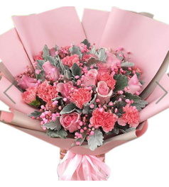 锦上添花--11枝粉色康乃馨，11枝粉佳人玫瑰，搭配银叶菊，粉色满天星。