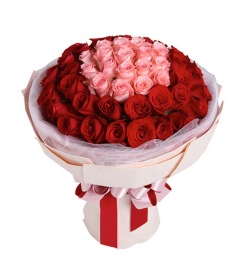 爱上你的那一刻--玫瑰50枝：戴安娜粉玫瑰19枝，红玫瑰31枝