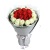 浪漫爱情----红玫瑰12枝，白玫瑰17枝