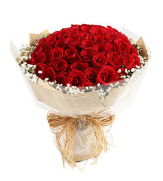 爱情的魅力--红玫瑰66枝