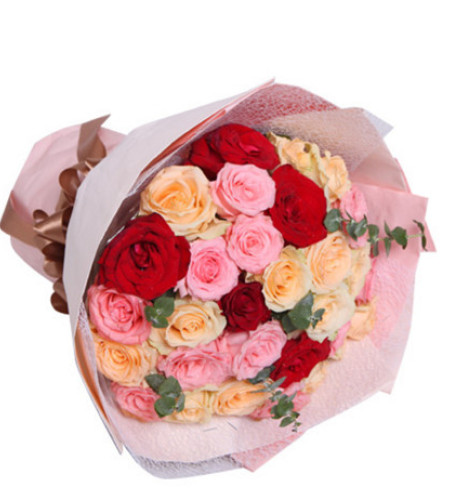 绚丽多彩--戴安娜粉玫瑰11枝,香槟玫瑰13枝,红玫瑰5枝