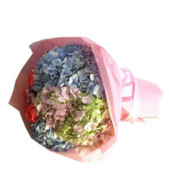 永远爱你--粉玫瑰9枝，粉绣球1枝，蓝绣球1枝