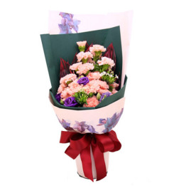 母爱--粉色康乃馨19枝,紫色洋桔梗、红铁叶少许至花束饱满