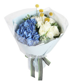 幸福平安--白玫瑰9枝，蓝绣球1枝,黄金球5枝，叶上花7枝