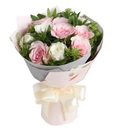 生日快乐--粉佳人粉玫瑰6枝，白玫瑰6枝