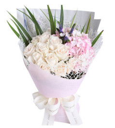 爱的礼物--芬德拉白玫瑰13枝，粉色绣球1枝