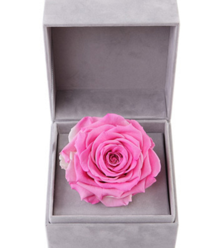 浪漫主义--粉色永生玫瑰：厄瓜多尔进口巨型玫瑰