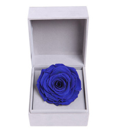 爱的宣言--蓝色永生玫瑰:厄瓜多尔进口巨型玫瑰