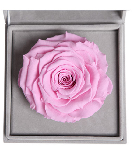 我爱你--柔粉色永生玫瑰:厄瓜多尔进口巨型玫瑰