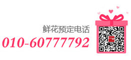 上海龙凤419电话