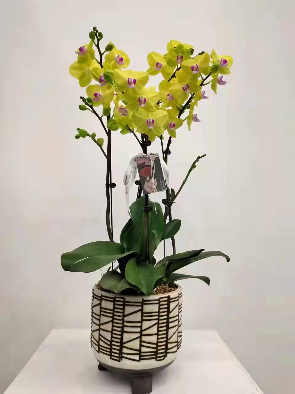 求婚送花多少朵合适？99朵、108朵代表什么
