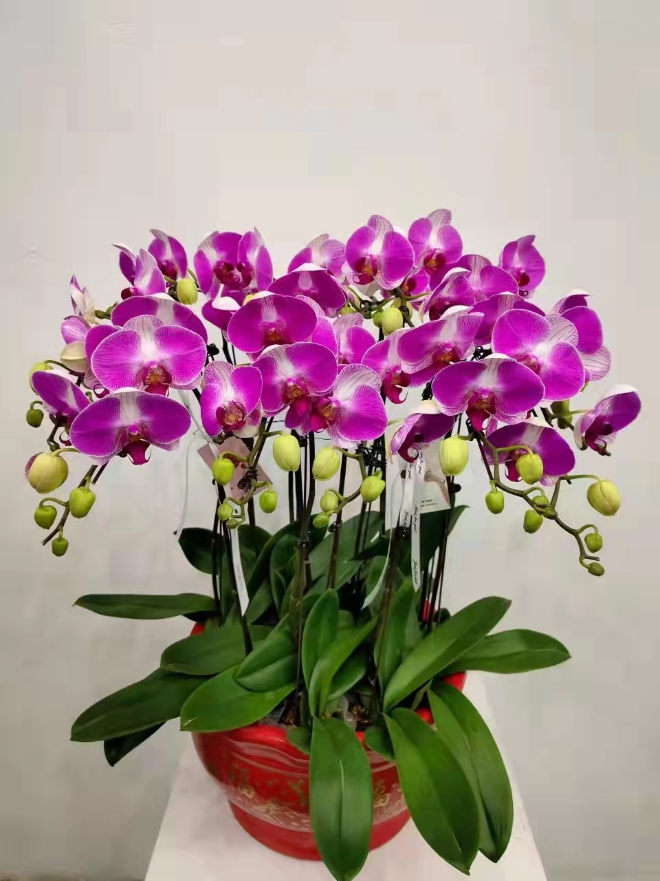 表白送花怎么不尴尬？适合初次告白的花束