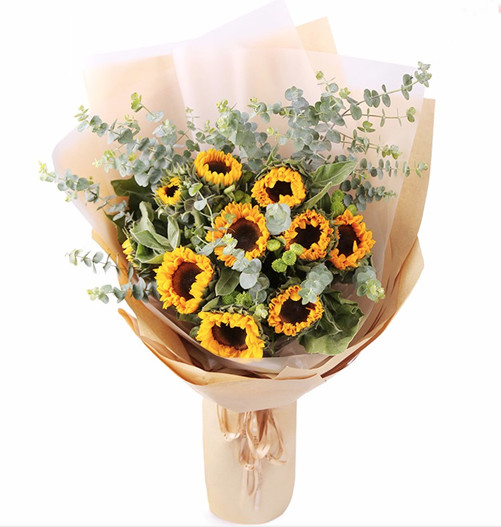 阳光满溢－10支精品向日葵（花束高度1.2米左右）