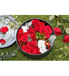 浓情蜜意--11枝红玫瑰