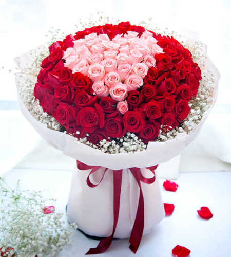 唯一的爱-- 33枝戴安娜粉玫瑰、66枝卡罗拉红玫瑰、10枝满天星