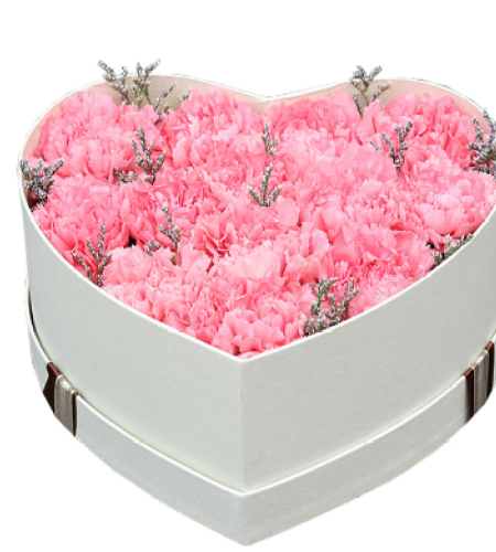 妈妈的爱--13枝粉色康乃馨，情人草搭配 