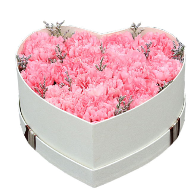 妈妈的爱--13枝粉色康乃馨，情人草搭配 