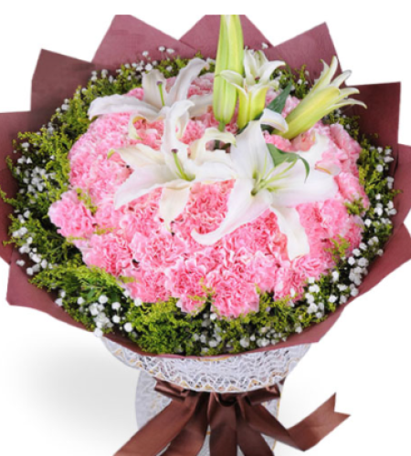  沐浴母爱--33枝粉色康乃馨，2枝香水百合，黄莺和满天星外围 