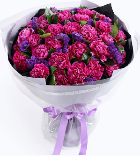 爱丽丝--紫红色康乃馨33枝、栀子叶1扎、勿忘我0.5扎 