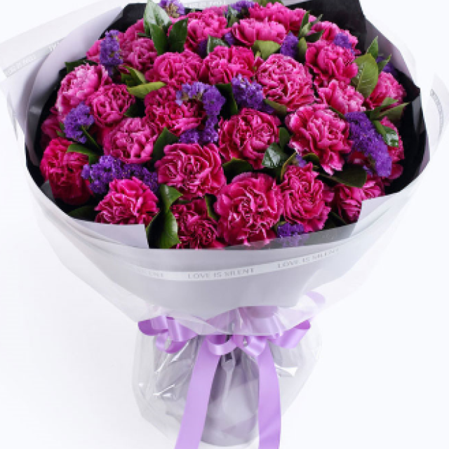 爱丽丝--紫红色康乃馨33枝、栀子叶1扎、勿忘我0.5扎 