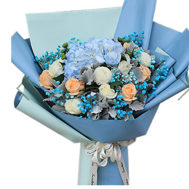 望春--1个蓝色绣球，6枝香槟玫瑰，5枝白玫瑰