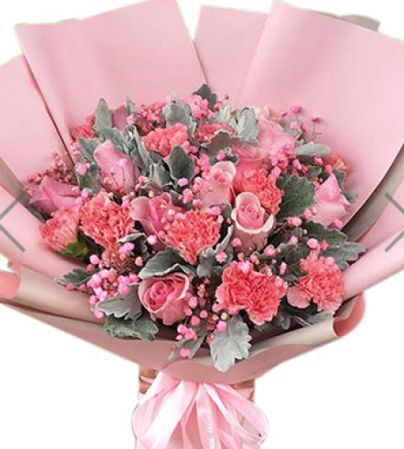 锦上添花--11枝粉色康乃馨，11枝粉佳人玫瑰，搭配银叶菊，粉色满天星。