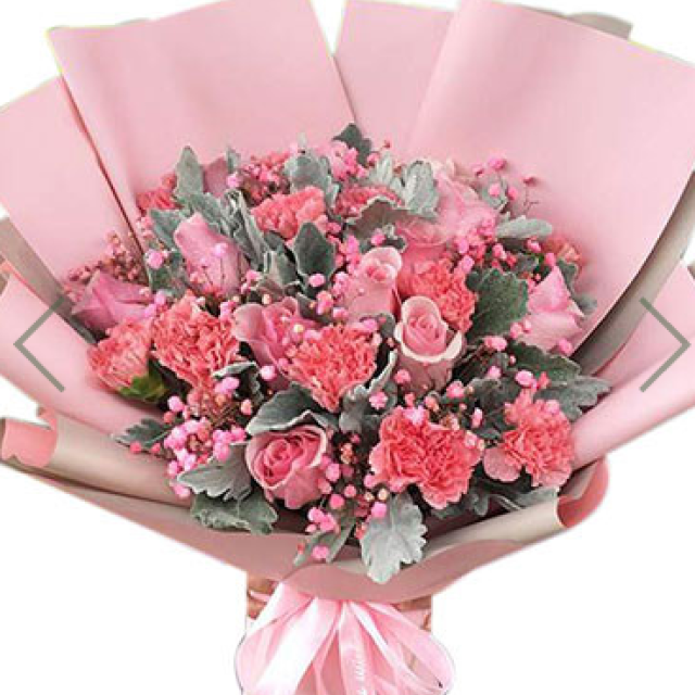 锦上添花--11枝粉色康乃馨，11枝粉佳人玫瑰，搭配银叶菊，粉色满天星。
