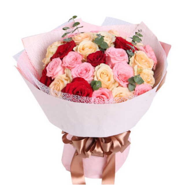 绚丽多彩--戴安娜粉玫瑰11枝,香槟玫瑰13枝,红玫瑰5枝