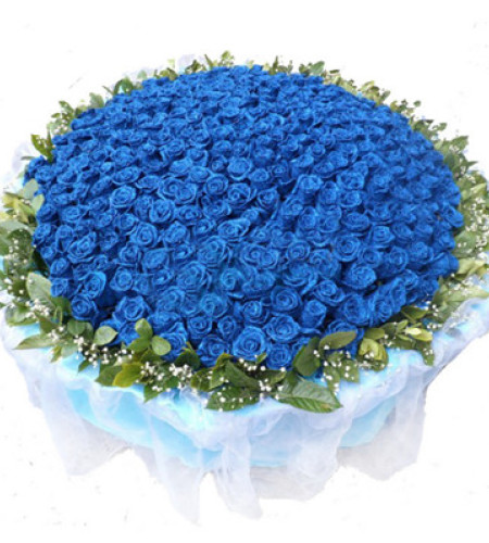 承诺--蓝色玫瑰999枝