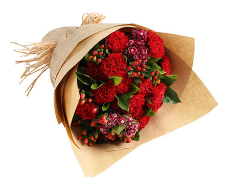 温馨时光--红色康乃馨16枝