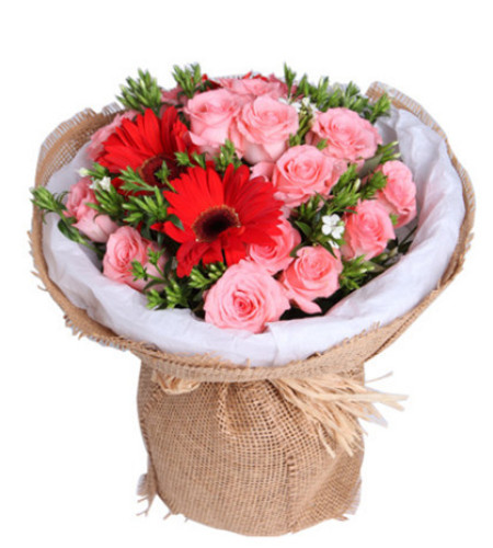 美丽的诞辰--戴安娜粉玫瑰16枝，红色扶郎花3枝