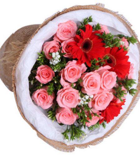 美丽的诞辰--戴安娜粉玫瑰16枝，红色扶郎花3枝