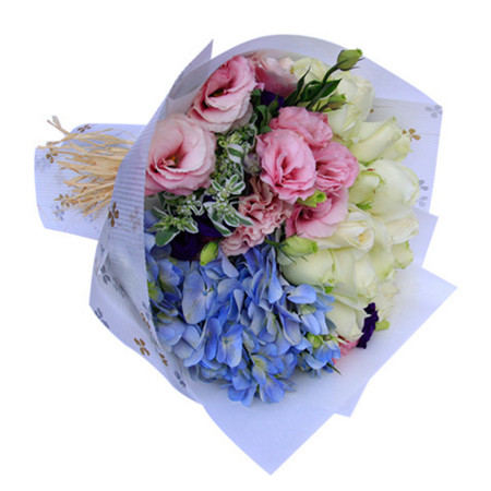 定格幸福瞬间--雪山白玫瑰16枝，浅蓝色绣球1枝