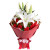乐逍遥－－红色康乃馨19枝，白色多头香水百合2枝