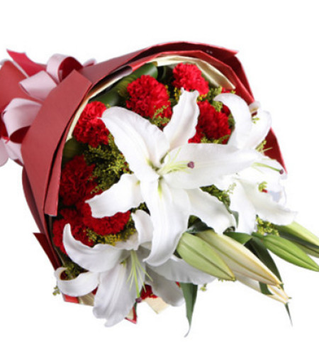 樂逍遙--紅色康乃馨19枝，白色多頭香水百合2枝
