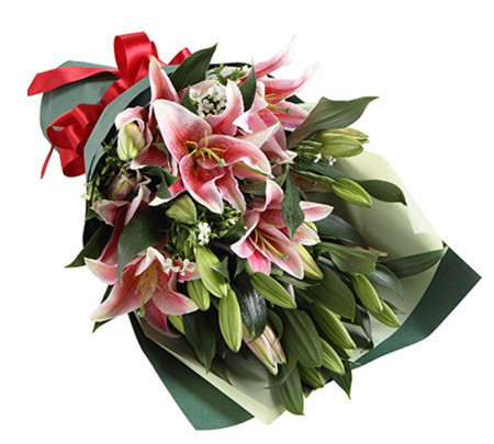 满心祝福--粉色多头香水百合6枝，白色相思梅3枝