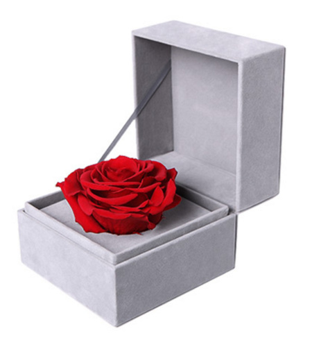 爱的颜色--红色永生玫瑰：厄瓜多尔进口巨型玫瑰
