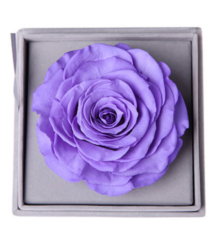 相信--紫色永生玫瑰:厄瓜多尔进口巨型玫瑰