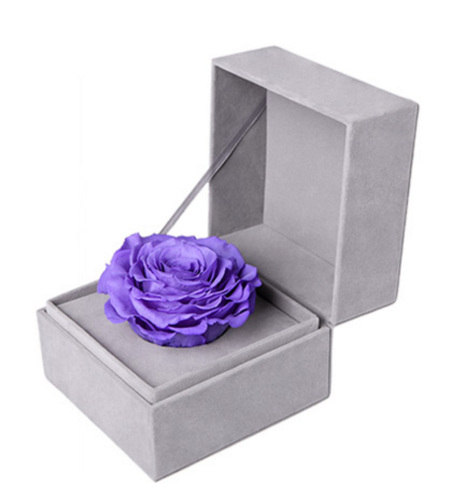 相信--紫色永生玫瑰:厄瓜多尔进口巨型玫瑰
