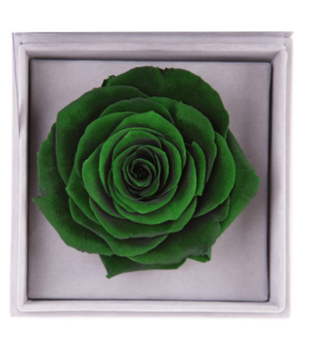 夏之梦--绿色永生玫瑰:厄瓜多尔进口巨型玫瑰