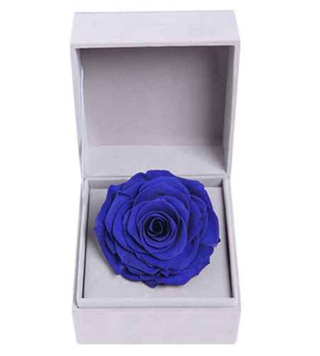 爱的宣言--蓝色永生玫瑰:厄瓜多尔进口巨型玫瑰