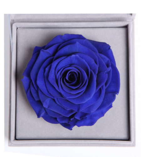 爱的宣言--蓝色永生玫瑰:厄瓜多尔进口巨型玫瑰
